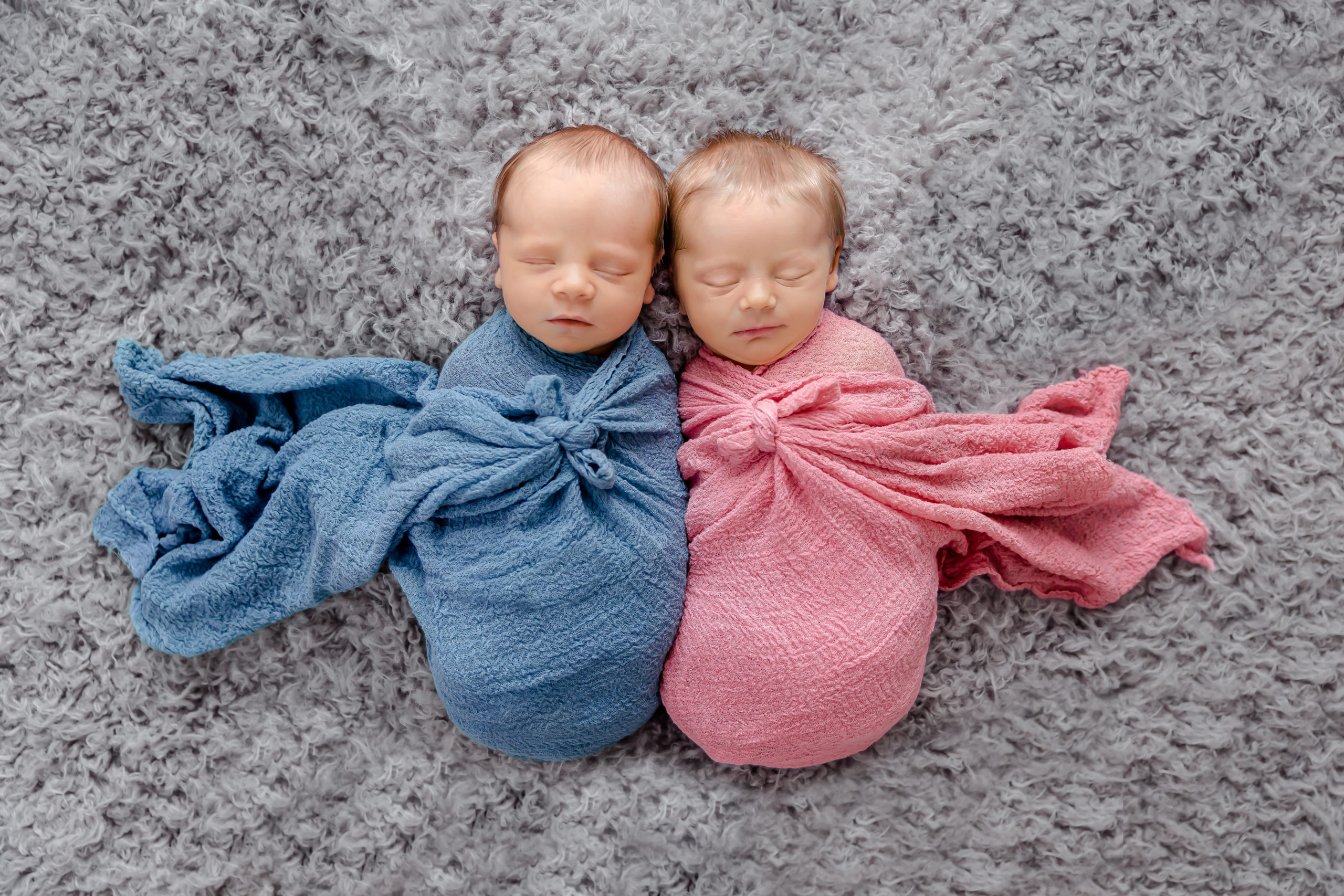 Twin Newborn Studio Photography